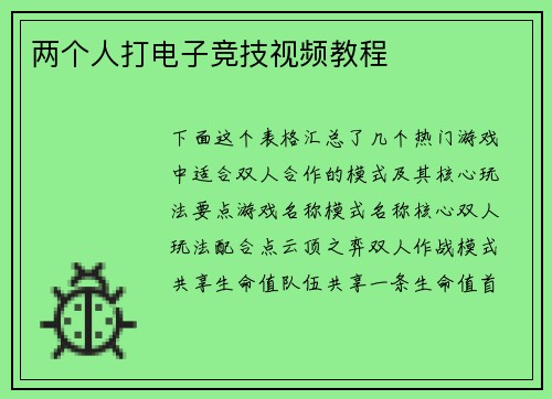 两个人打电子竞技视频教程
